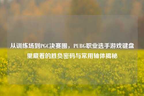 从训练场到PGC决赛圈,PUBG职业选手游戏键盘里藏着的胜负密码与常用轴体揭秘