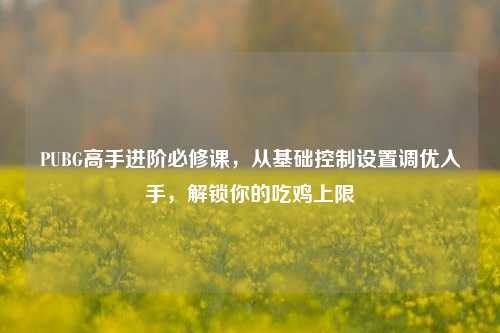 PUBG高手进阶必修课，从基础控制设置调优入手，解锁你的吃鸡上限