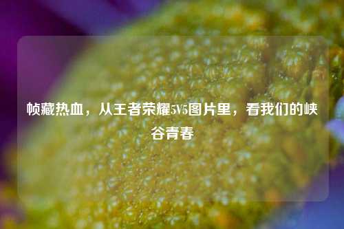 帧藏热血，从王者荣耀5V5图片里，看我们的峡谷青春