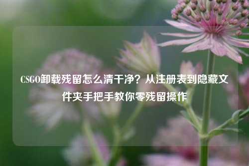 CSGO卸载残留怎么清干净?从注册表到隐藏文件夹手把手教你零残留操作