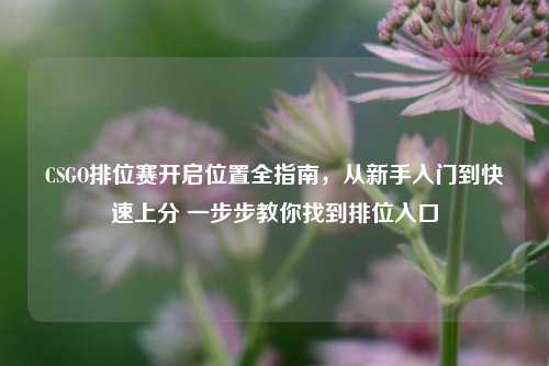 CSGO排位赛开启位置全指南,从新手入门到快速上分 一步步教你找到排位入口