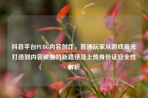 抖音平台PUBG内容创作，普通玩家从游戏高光打造到内容破圈的新路径及上传身份证安全性解析