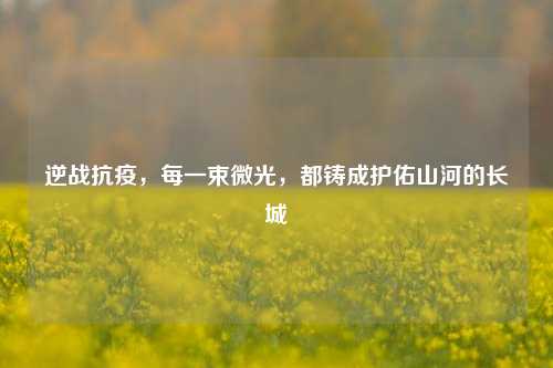逆战抗疫，每一束微光，都铸成护佑山河的长城