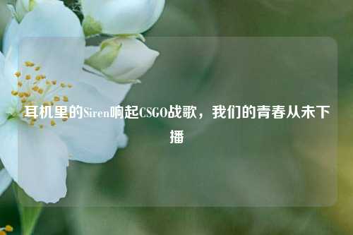 耳机里的Siren响起CSGO战歌，我们的青春从未下播