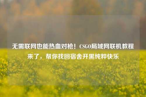 无需联网也能热血对枪!CSGO局域网联机教程来了,帮你找回宿舍开黑纯粹快乐