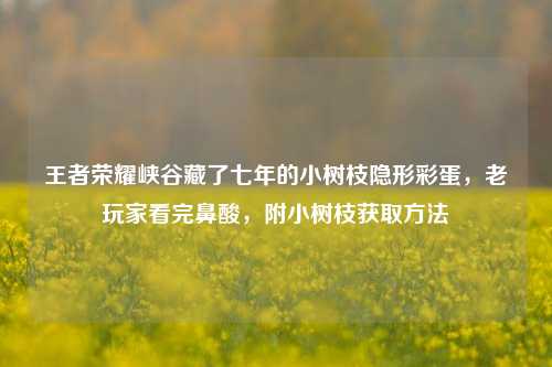王者荣耀峡谷藏了七年的小树枝隐形彩蛋，老玩家看完鼻酸，附小树枝获取方法