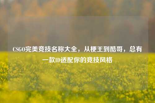 CSGO完美竞技名称大全，从梗王到酷哥，总有一款ID适配你的竞技风格