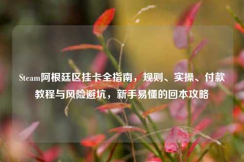 Steam阿根廷区挂卡全指南，规则、实操、付款教程与风险避坑，新手易懂的回本攻略