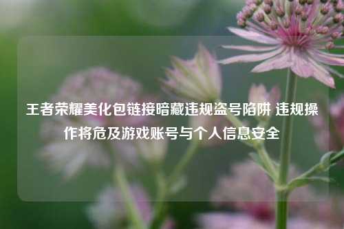 王者荣耀美化包链接暗藏违规盗号陷阱 违规操作将危及游戏账号与个人信息安全