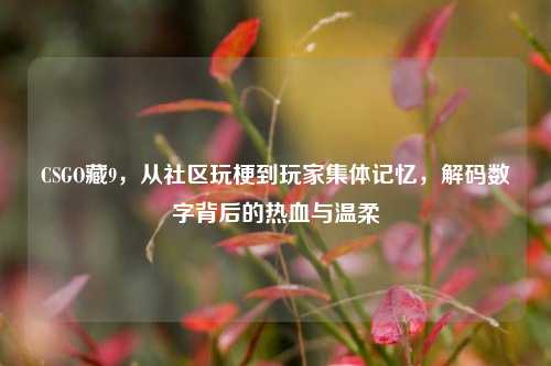 CSGO藏9，从社区玩梗到玩家集体记忆，解码数字背后的热血与温柔