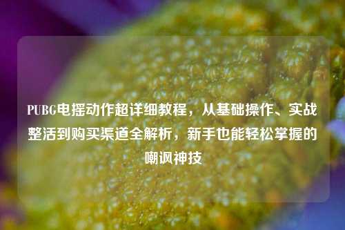 PUBG电摇动作超详细教程,从基础操作、实战整活到购买渠道全解析,新手也能轻松掌握的嘲讽神技