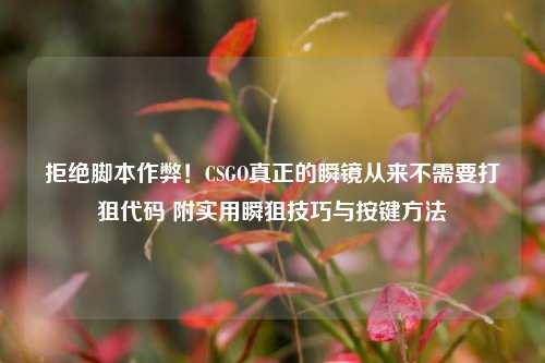拒绝脚本作弊!CSGO真正的瞬镜从来不需要打狙代码 附实用瞬狙技巧与按键方法