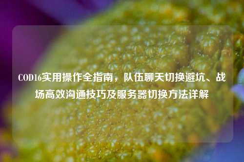 COD16实用操作全指南,队伍聊天切换避坑、战场高效沟通技巧及服务器切换方法详解