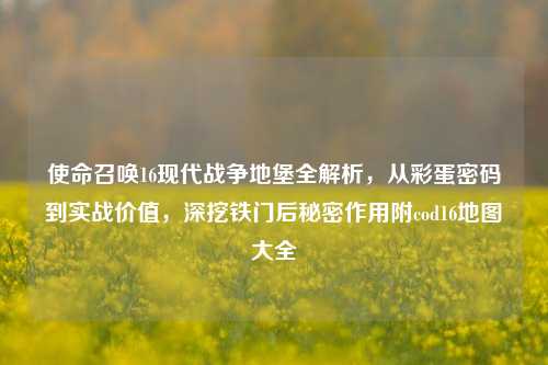 使命召唤16现代战争地堡全解析,从彩蛋密码到实战价值,深挖铁门后秘密作用附cod16地图大全