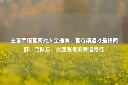 王者荣耀官网找人全指南,官方渠道才是找同好、寻队友、找回账号的靠谱路径