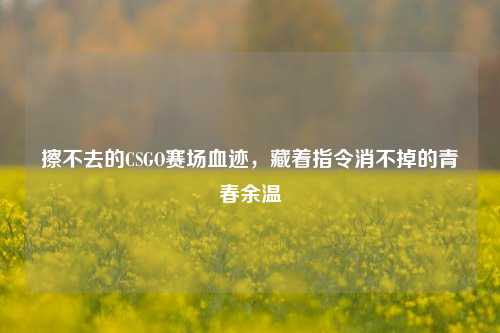 擦不去的CSGO赛场血迹，藏着指令消不掉的青春余温