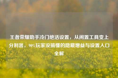 王者荣耀助手冷门绝活设置，从闲置工具变上分利器，90%玩家没搞懂的隐藏增益与设置入口全解