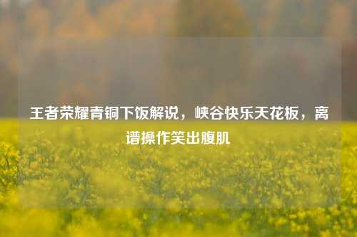 王者荣耀青铜下饭解说，峡谷快乐天花板，离谱操作笑出腹肌