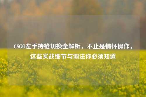 CSGO左手持枪切换全解析,不止是情怀操作,这些实战细节与调法你必须知道