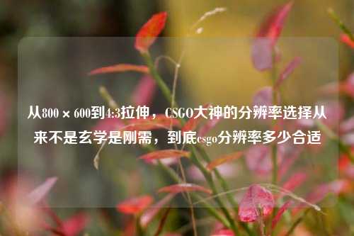 从800×600到4:3拉伸，CSGO大神的分辨率选择从来不是玄学是刚需，到底csgo分辨率多少合适