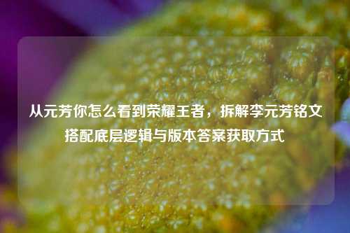从元芳你怎么看到荣耀王者,拆解李元芳铭文搭配底层逻辑与版本答案获取方式