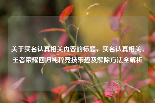 关于实名认真相关内容的标题,实名认真相关,王者荣耀回归纯粹竞技乐趣及解除方法全解析