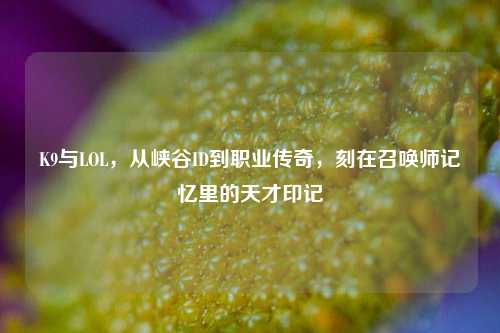 K9与LOL,从峡谷ID到职业传奇,刻在召唤师记忆里的天才印记