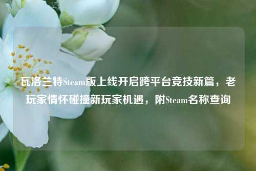 瓦洛兰特Steam版上线开启跨平台竞技新篇,老玩家情怀碰撞新玩家机遇,附Steam名称查询