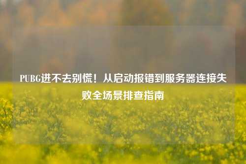 PUBG进不去别慌!从启动报错到服务器连接失败全场景排查指南