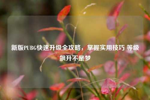 新版PUBG快速升级全攻略,掌握实用技巧 等级飙升不是梦