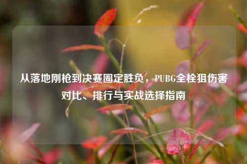 从落地刚枪到决赛圈定胜负,PUBG全栓狙伤害对比、排行与实战选择指南