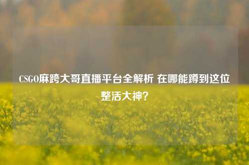 CSGO麻跨大哥直播平台全解析 在哪能蹲到这位整活大神？