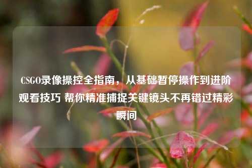 CSGO录像操控全指南,从基础暂停操作到进阶观看技巧 帮你精准捕捉关键镜头不再错过精彩瞬间