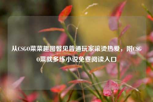 从CSGO菜菜趣图瞥见普通玩家滚烫热爱，附CSGO菜就多练小说免费阅读入口