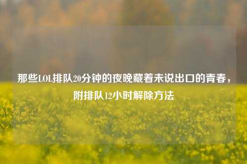 那些LOL排队20分钟的夜晚藏着未说出口的青春,附排队12小时解除方法