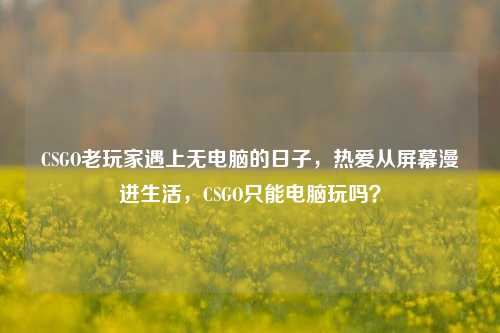 CSGO老玩家遇上无电脑的日子，热爱从屏幕漫进生活，CSGO只能电脑玩吗？