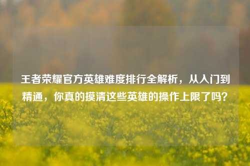 王者荣耀官方英雄难度排行全解析,从入门到精通,你真的摸清这些英雄的操作上限了吗?