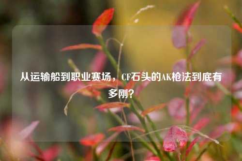 从运输船到职业赛场,CF石头的AK枪法到底有多刚?