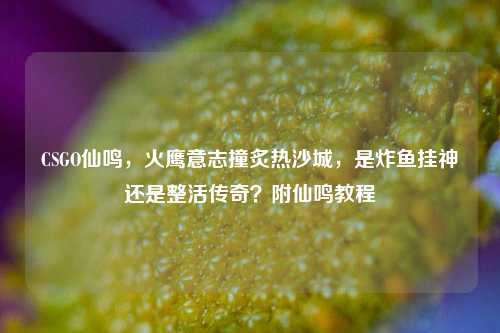 CSGO仙鸣，火鹰意志撞炙热沙城，是炸鱼挂神还是整活传奇？附仙鸣教程