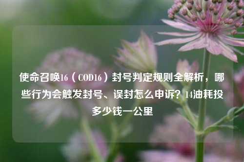 使命召唤16(COD16)封号判定规则全解析,哪些行为会触发封号、误封怎么申诉?14油耗投多少钱一公里