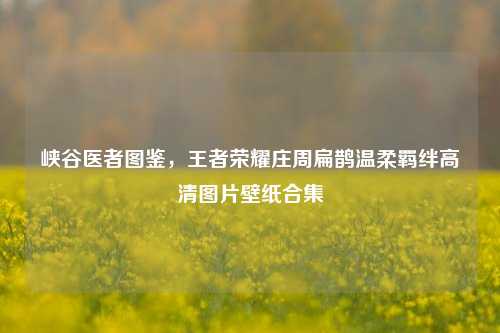 峡谷医者图鉴，王者荣耀庄周扁鹊温柔羁绊高清图片壁纸合集