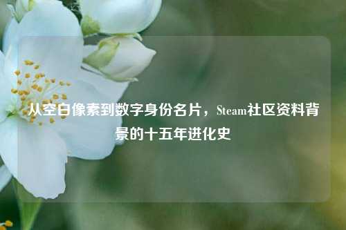 从空白像素到数字身份名片,Steam社区资料背景的十五年进化史