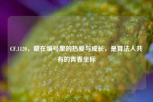 CF.1120,藏在编号里的热爱与成长,是算法人共有的青春坐标