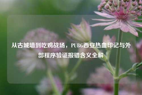 从古城墙到吃鸡战场,PUBG西安热血印记与外部程序验证报错含义全解