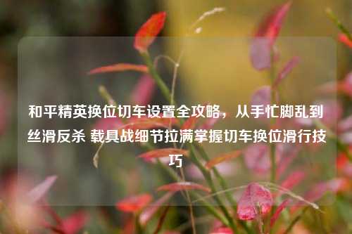 和平精英换位切车设置全攻略,从手忙脚乱到丝滑反杀 载具战细节拉满掌握切车换位滑行技巧