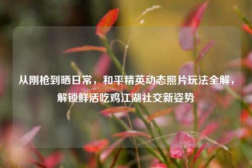 从刚枪到晒日常，和平精英动态照片玩法全解，解锁鲜活吃鸡江湖社交新姿势