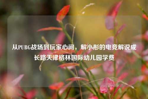 从PUBG战场到玩家心间,解小彤的电竞解说成长路天津格林国际幼儿园学费