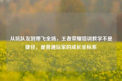 从坑队友到带飞全场,王者荣耀培训教学不是捷径,是普通玩家的成长坐标系