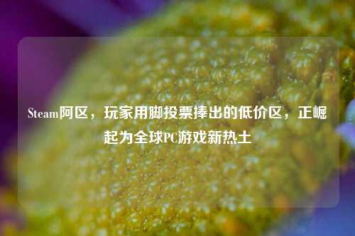 Steam阿区,玩家用脚投票捧出的低价区,正崛起为全球PC游戏新热土