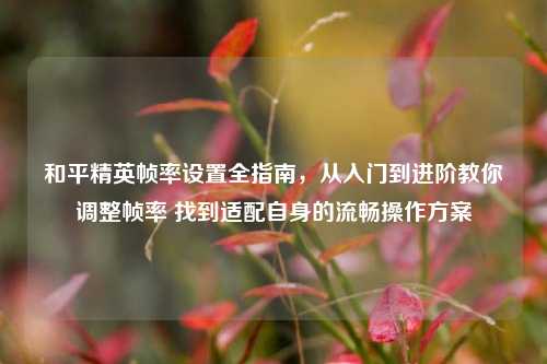 和平精英帧率设置全指南，从入门到进阶教你调整帧率 找到适配自身的流畅操作方案